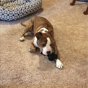 Meet your Posher, Rylee