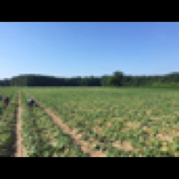 Meet your Posher, Josh - Picture 1 of 1