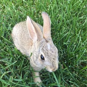 Meet your Posher, Hope