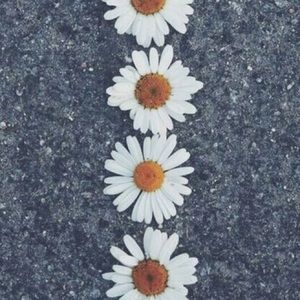 Meet your Posher, Akilah