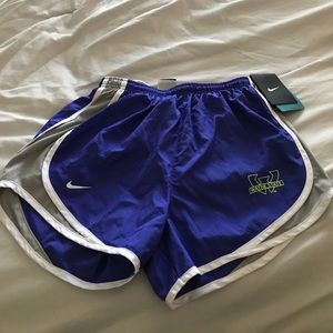 Nike Dri Fit running shorts