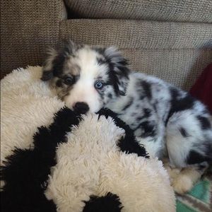 Meet your Posher, Briana