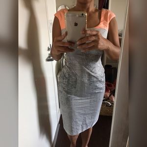 NWT gorgeous Kay Unger silver peach sheath dress