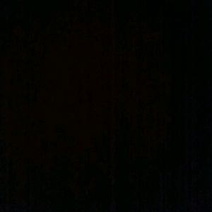 Meet your Posher, Sandy