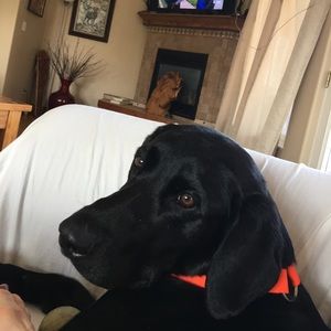 Meet your Posher, Teresa