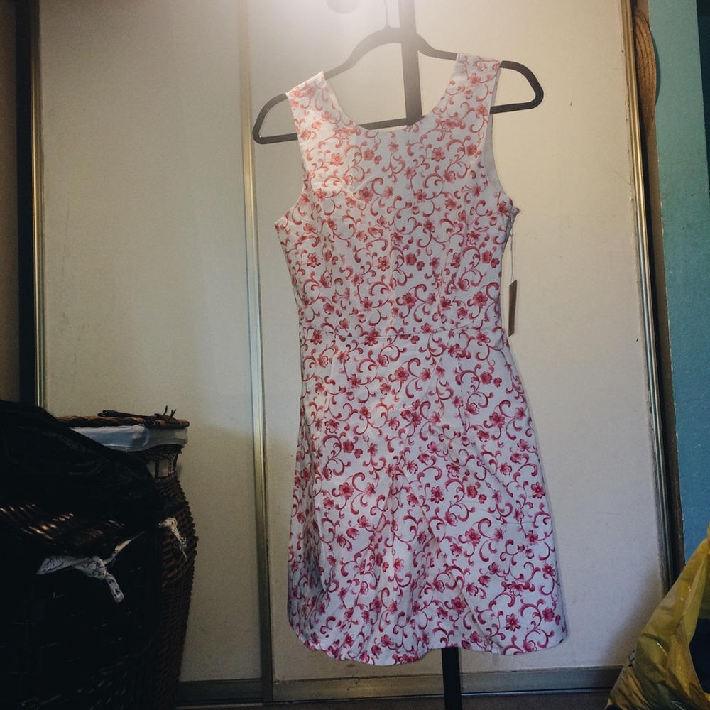 Reddish Pink & Cream Dress