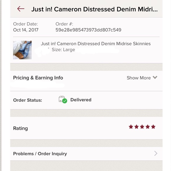 The Cameron Distressed Denim Light Wash Skinnies - Picture 4 of 4