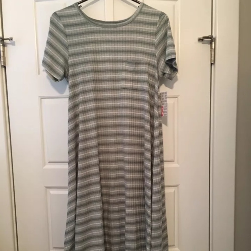 Lularoe Small Carly Green and White Stripe NWT