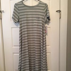 Lularoe Small Carly Green and White Stripe NWT