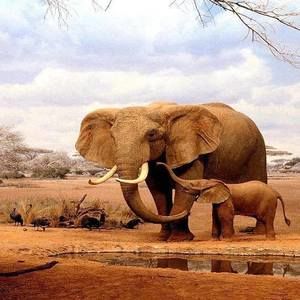 Meet your Posher, Thuy