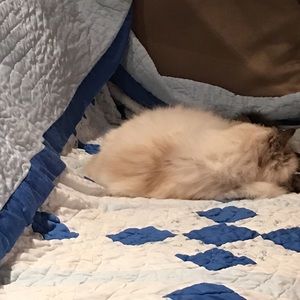 Meet your Posher, Kelly