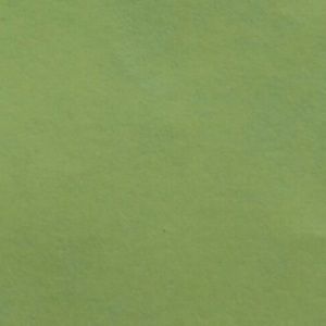 Meet your Posher, Ashlynn