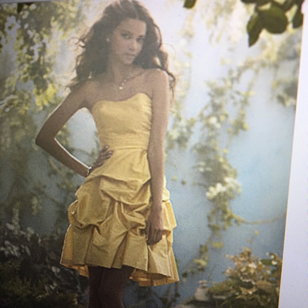 Alfred Angelo Disney Maidens Bridesmaid Collection