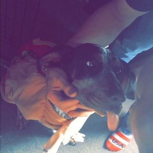 Meet your Posher, Kennedy