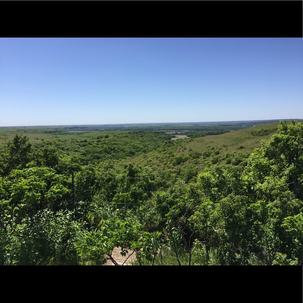 Meet your Posher, Shannon