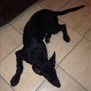 Meet your Posher, Chakita