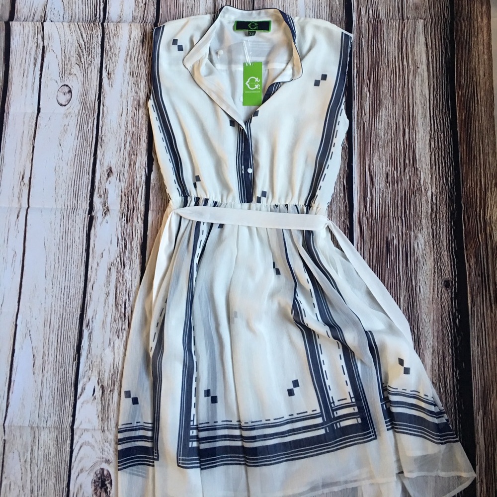 NWT C. Wonder Dress, Blue and White