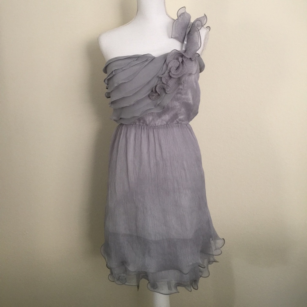 NWT Luluvia silver/ gray one shoulder dress