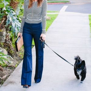 Express "Editor" Slacks