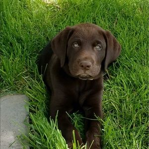 Meet your Posher, Gretchen