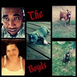 Meet your Posher, Rose