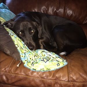 Meet your Posher, Molly