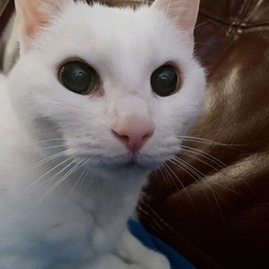 Meet your Posher, Lisa