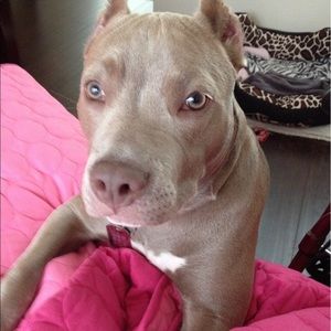 Meet your Posher, Tracy