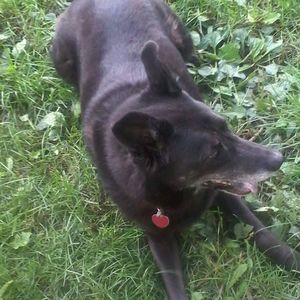 Meet your Posher, Kaitlin