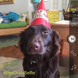 Meet your Posher, Zoeanne