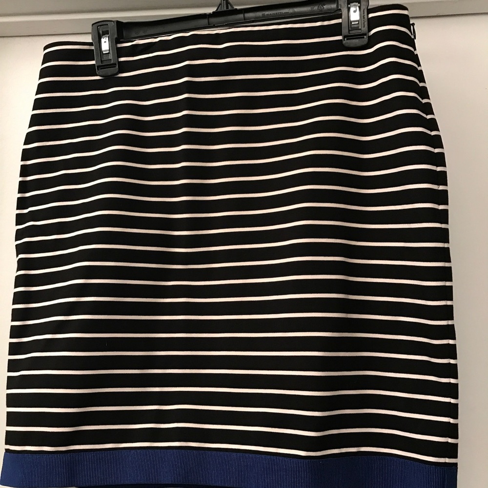 Adorable Ann Taylor Skirt