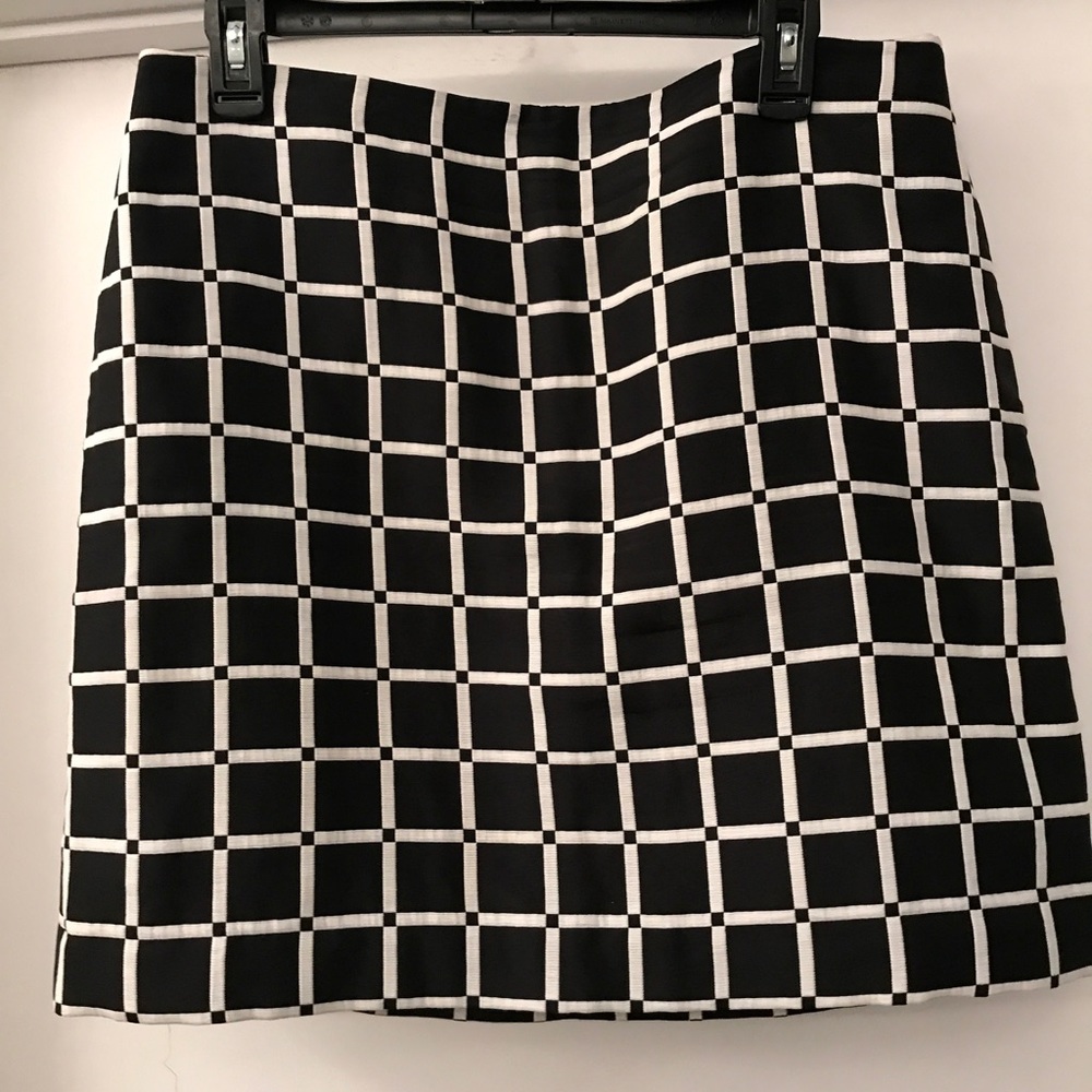 Amazing Ann Taylor Skirt