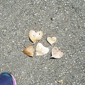 Meet your Posher, Marilyn