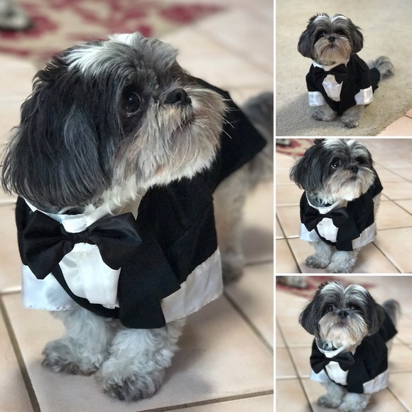 Meet your Posher, Imee and Oreo - Picture 2 of 3