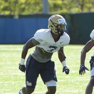 Meet your Posher, Henry