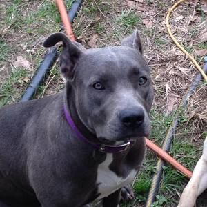 Meet your Posher, Marilyn