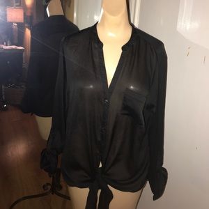 The Limited Sheer Blouse