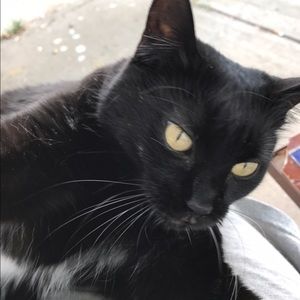 Meet your Posher, Carol