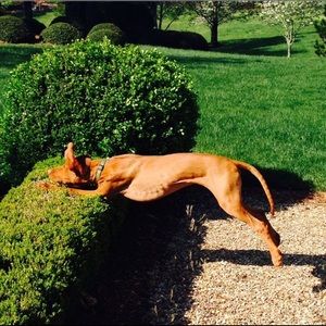 Meet your Posher, Jackie