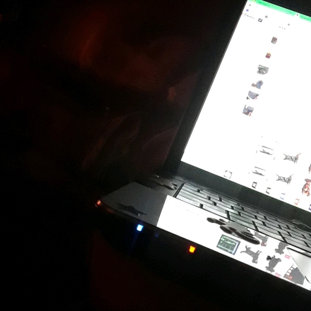 Meet your Posher, Sonya