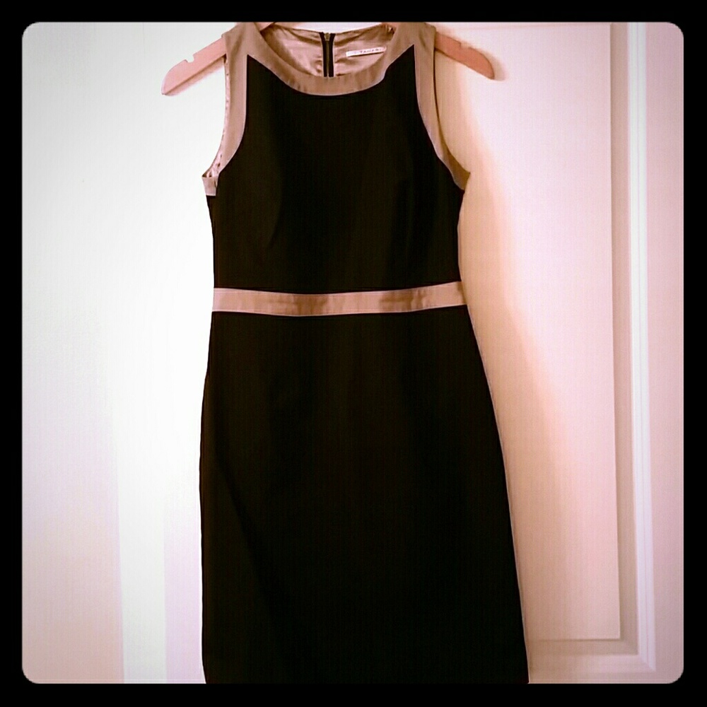 Black and Tan Tahari dress