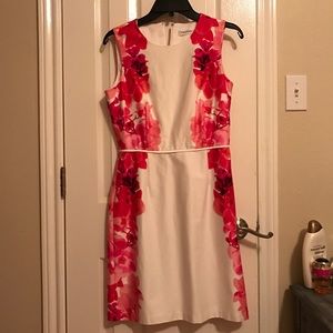 Pink & White Calvin Klein Dress