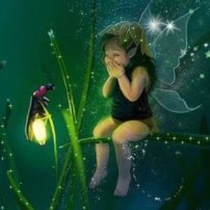 Meet your Posher, Darla