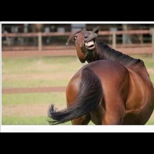 Meet your Posher, Collin