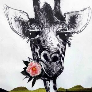 Meet your Posher, Anne