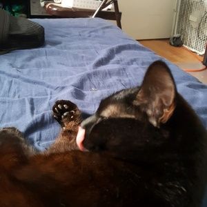 Meet your Posher, Sam