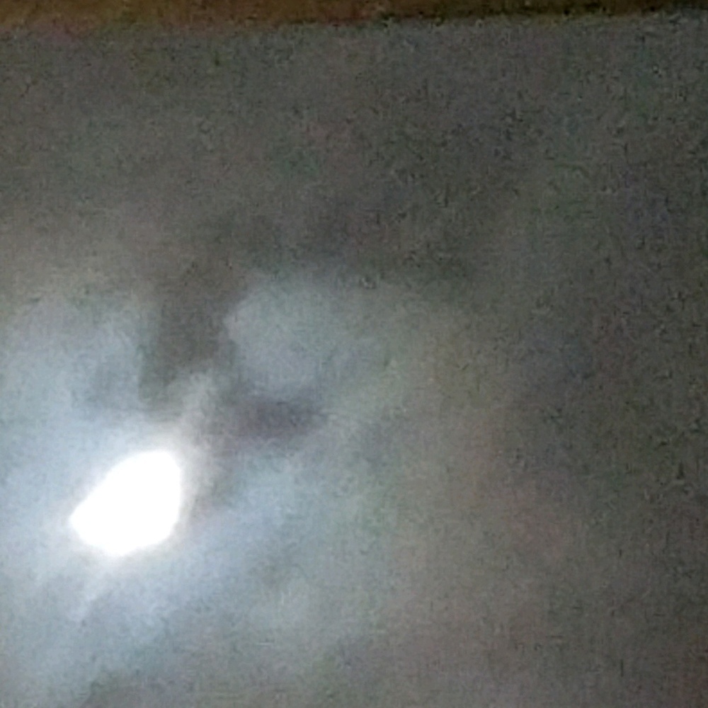 Meet your Posher, Adrienne