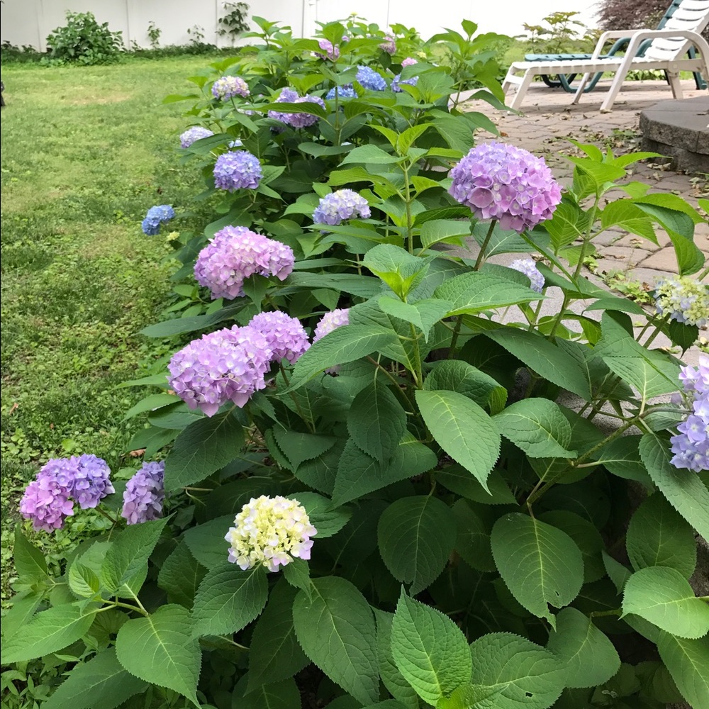 Meet your Posher, Valerie