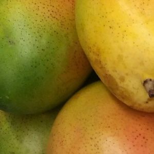 Meet your Posher, Margo