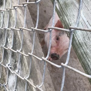 Meet your Posher, Christian